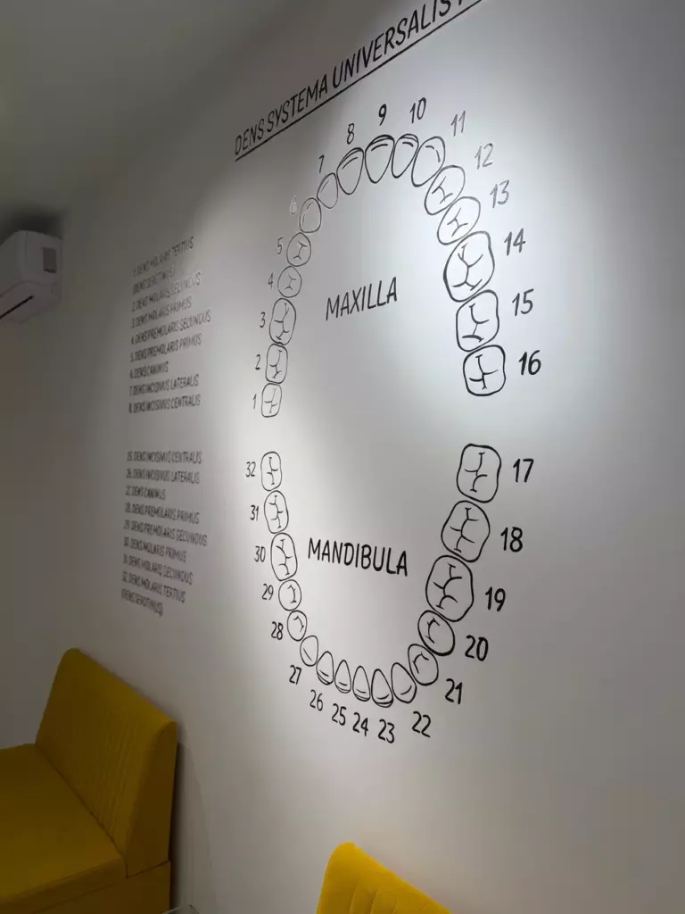 19